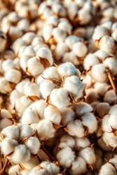 Similar image 22556859