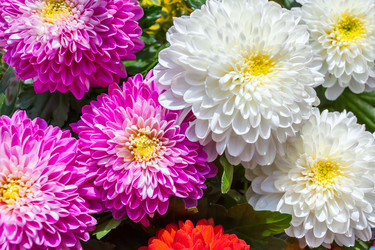 Similar image 22561311