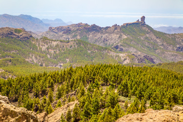 Similar image 22561432