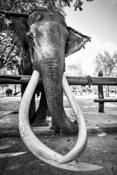 Similar image 22560714