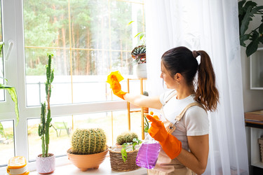 Similar image 22589091