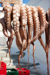 Similar image 22560728