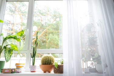 Similar image 22589180