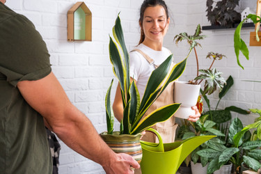 Similar image 22589256