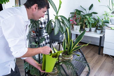 Similar image 22589333