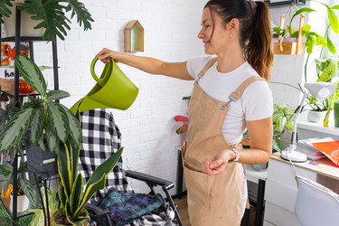 Similar image 22589343