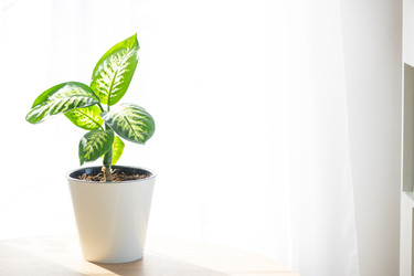 Similar image 22589362