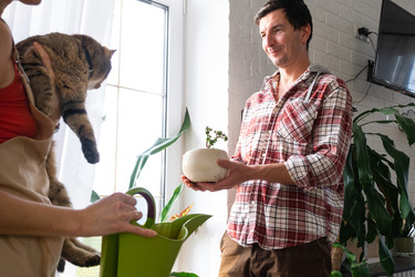 Similar image 22589377