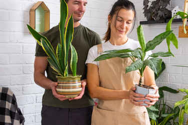 Similar image 22589391