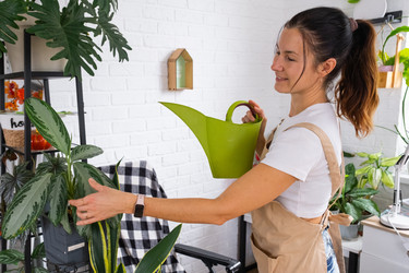 Similar image 22589407