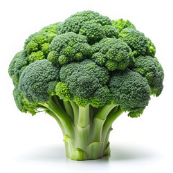 Similar image 22556728