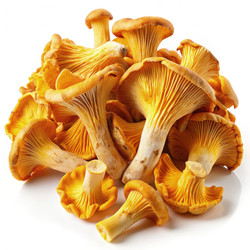 Similar image 22556833