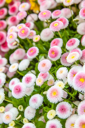 Similar image 22561298