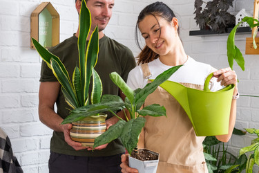 Similar image 22591008