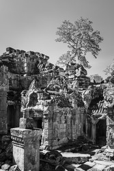 Similar image 22558802