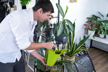 Similar image 22588986