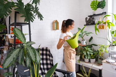 Similar image 22589015