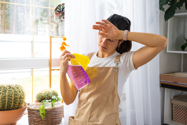 Similar image 22589031