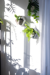 Similar image 22589047