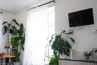 Similar image 22589062