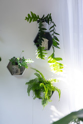 Similar image 22589076