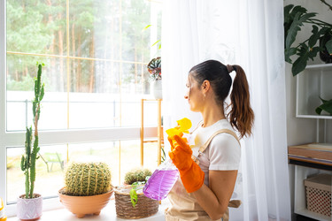 Similar image 22589077