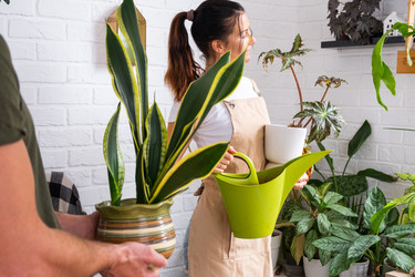 Similar image 22589105