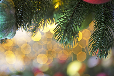 Similar image 22554404