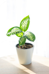 Similar image 22589136