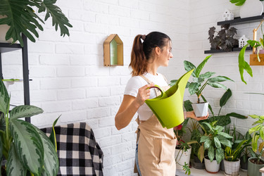 Similar image 22589165