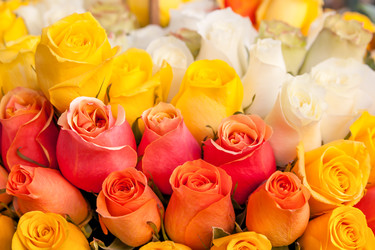 Similar image 22560835