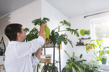 Similar image 22589302