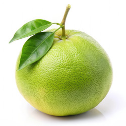 Similar image 22556653