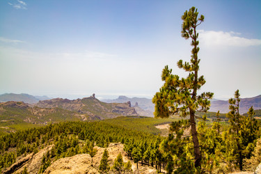 Similar image 22561119