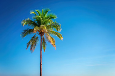 Similar image 22556815