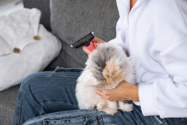 Similar image 22590858