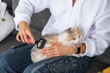 Similar image 22591022