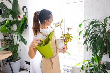 Similar image 22591023