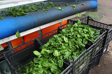 Similar image 22561987