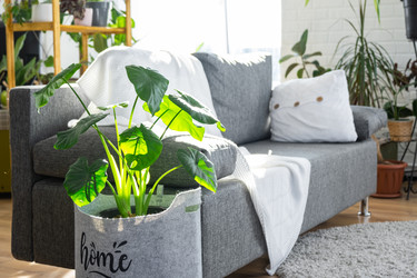 Similar image 22588206