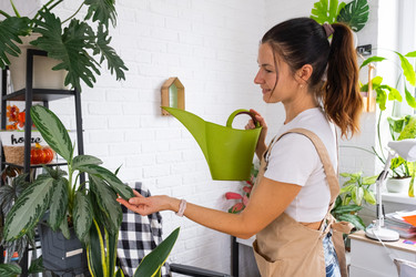 Similar image 22588207