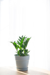 Similar image 22588208