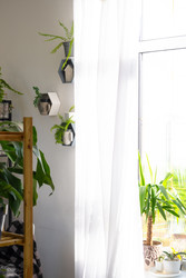 Similar image 22588222