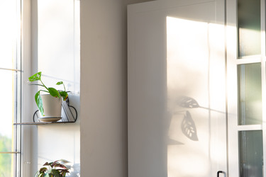 Similar image 22588223