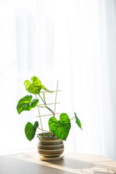 Similar image 22588236