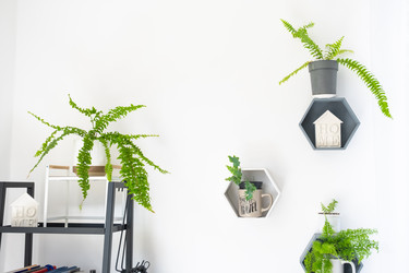 Similar image 22588238