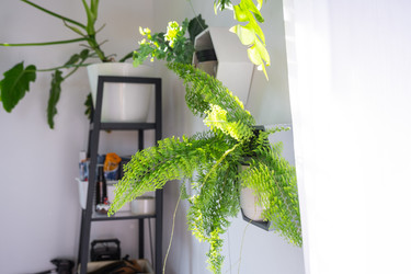 Similar image 22588251