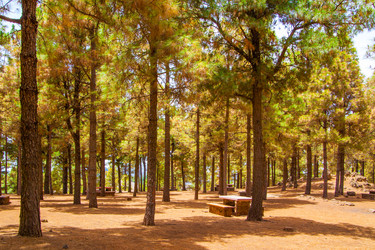 Similar image 22558699