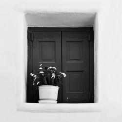 Similar image 22558806