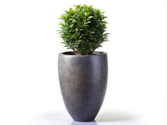 Similar image 22555289